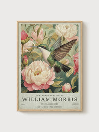 Morris Hummingbird