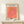 Mid-century modern wall art with organic plant motif in muted coral and cream palette, displaying serene minimalist aesthetic.
