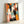 Bold animal wall art showing a group of expressive cats in warm orange, cool teal, and cream hues with a modern whimsical aesthetic.