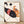 Pop art framed poster featuring a playful black cat with red and orange soda cans in a modern line art style, blending humor and vibrant color against a cream background.