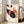 Black cat pop art poster with a humorous take on soda culture, featuring bold lines and a vibrant palette of red, orange, and blue accents for modern wall decor.