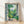 Framed impressionist poster of a sunlit conservatory window with lush green plants and terracotta pots, rendered in soft cream, forest green, and sky blue tones, creating a serene and inviting botanical scene.
