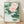 Serene Japanese woodblock-style poster featuring a pale pink water lily with sage green leaves and buds on cream background, framed on wall.