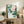 Zen-inspired poster featuring a graceful water lily in pale pink with cream and green tones, executed in Japanese woodblock aesthetic.