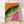 Bold pop art portrait of a colorful iguana with vibrant orange, lime green, and magenta tones against a cream background, framed as a modern retro poster on a wall.