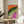 Contemporary pop art reptile print featuring a striking iguana rendered in bright neon green, orange, and hot pink hues with black accents, displayed as a framed wall poster.