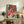 Contemporary retro-style leopard face art print featuring striking jewel tones and high-contrast pop art design in frame.