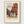 Vermeer Print poster in oak frame