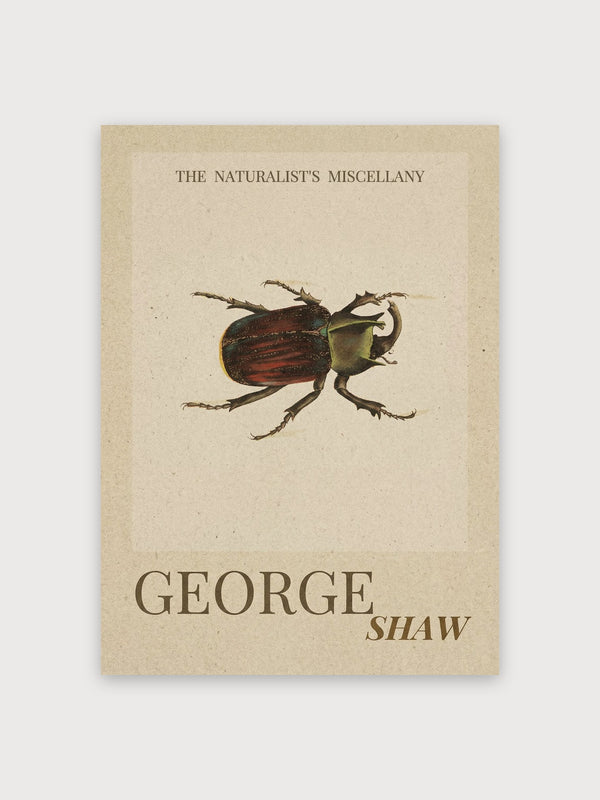 Vintage Beetle - Digital Download