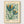 Henri Matisse Print poster in oak frame