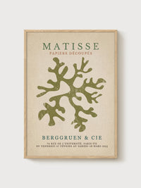 Matisse Seaweed