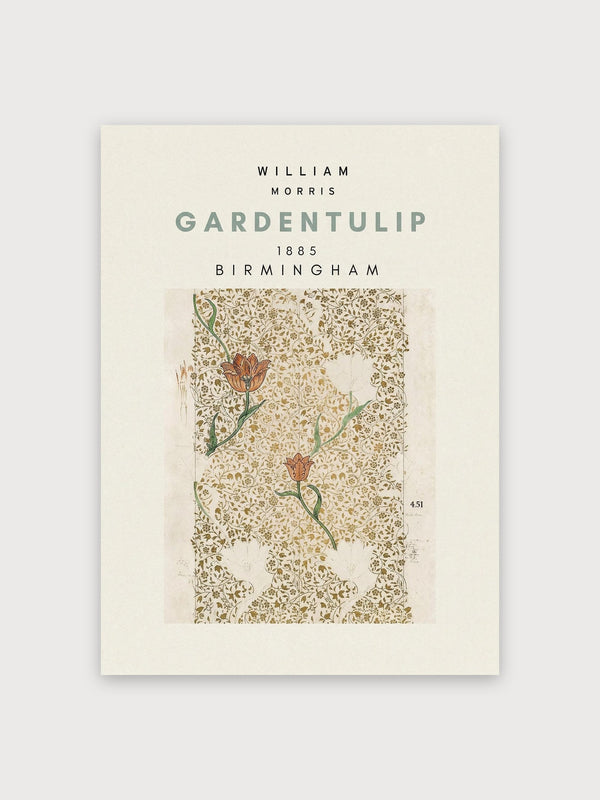 Garden Tulip 1885 - Digital Download