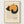 Black Cat Pumpkin Print poster in oak frame