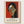 Henri Matisse Print poster in oak frame