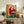 Vibrant pop art wall print of a woman absorbed in reading, dressed in a red striped sweater and surrounded by stylized green foliage, executed in bold black lines and warm coral and orange hues.