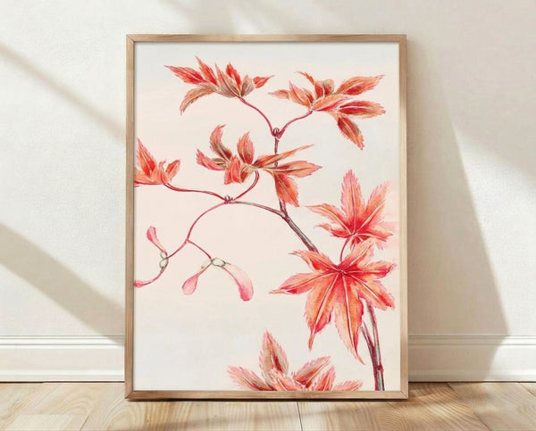 Delicate watercolor painting of Japanese maple leaves in coral red and dusty rose tones with cream and ochre accents, framed on a wall as botanical art.