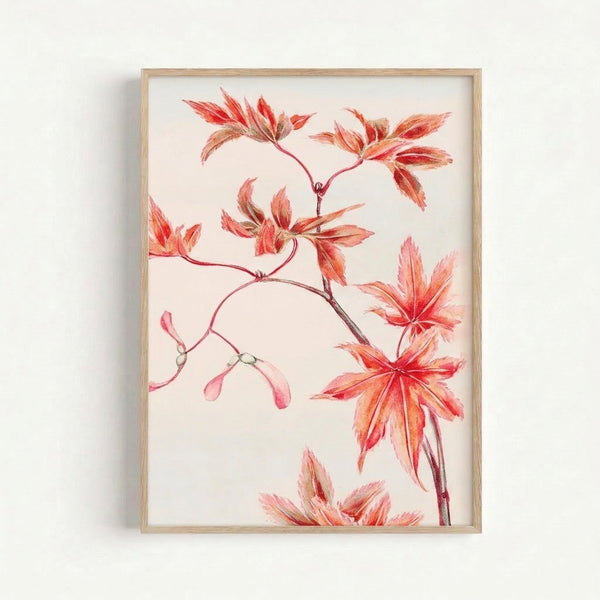 Serene watercolor study of maple foliage rendered in soft salmon pink and warm earth tones, displaying naturalistic botanical elegance as a framed poster.