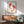 Japandi wall decor featuring serene red koi fish rendered in traditional woodblock aesthetic, framed and displayed with peaceful elegance.