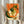 Retro-style wall art featuring steamed dumplings, garlic, and chopsticks in a warm palette of orange and sage green, capturing the appetizing essence of dim sum dining.