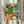 Boho-style retro poster of an intimate tea table still life with cream-colored dishware, golden and coral botanicals, a teal teapot, green foliage, oranges, and dumplings arranged in a cozy, whimsical composition.