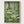 Mushroom Forest Wall Art poster in oak frame