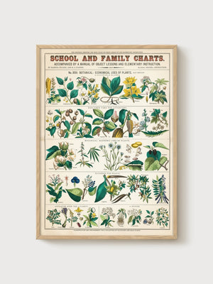 School and Family Charts Botanical Wall Art poster in oak frame