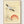 Ito Jakuchu Crane Woodblock Print poster in oak frame
