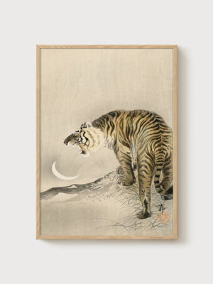Tiger Poster poster in oak frame