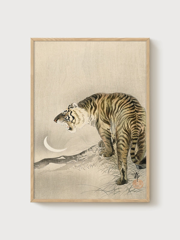 Tiger Poster poster in oak frame
