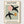 Matisse Painting Print poster in oak frame
