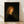 Framed portrait painting by Rembrandt depicting Saskia van Uylenburgh in warm golden and brown tones, showcasing Dutch Golden Age mastery of light and shadow on a gallery wall.
