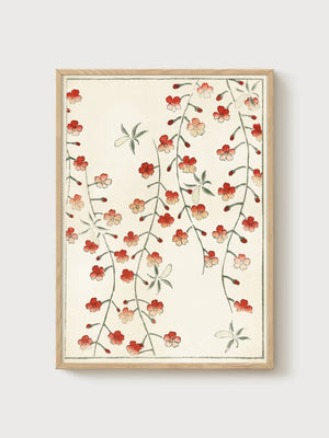 Vintage Cherry Blossom Print poster in oak frame