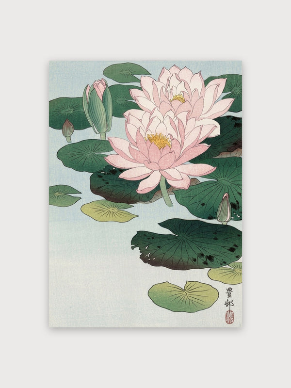 Pink Water Lilies Japanese Botanical - Digital Download