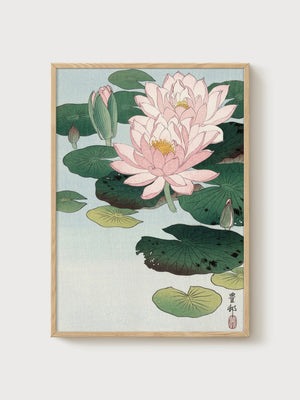 Lotus Flower Print poster in oak frame