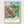Van Gogh Poster poster in oak frame