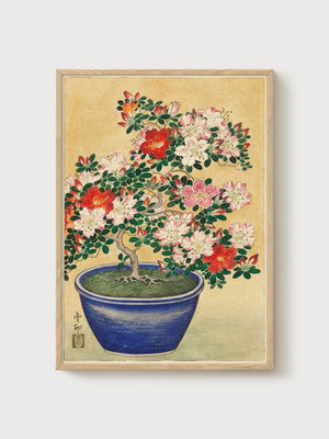 Bonsai Tree Art poster in oak frame