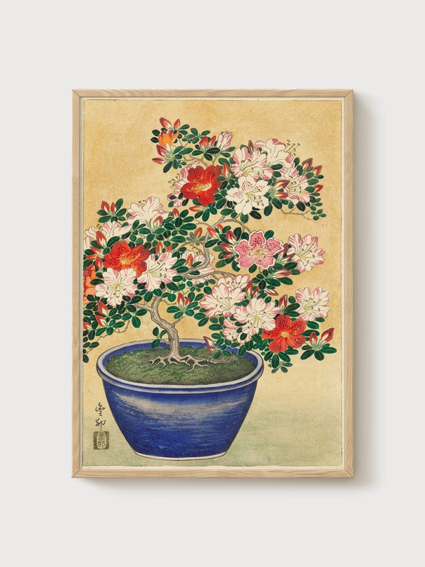 Bonsai Tree Art poster in oak frame