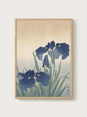 Japanese Iris Woodblock Print poster in oak frame