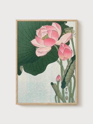 Lotus Flower Japanese Woodblock Print poster in oak frame