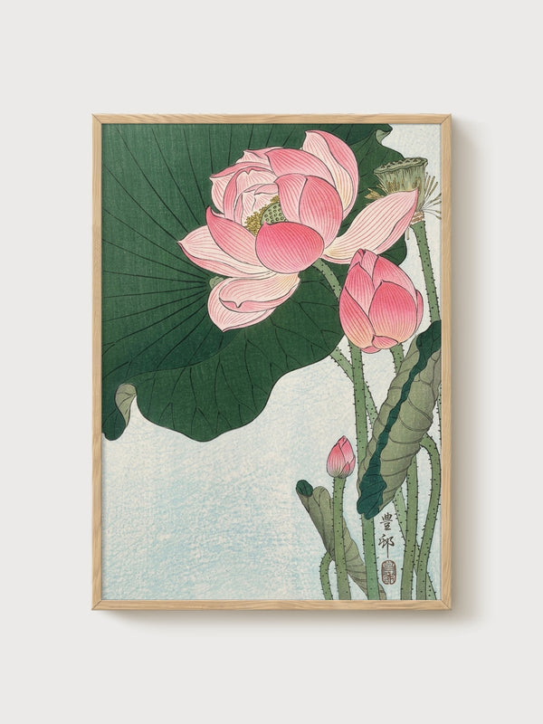 Lotus Flower Japanese Woodblock Print poster in oak frame
