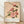 Framed vintage botanical art print featuring striped camelias with deep red and rose pink petals, pale yellow stamens, and sage green leaves on a cream background in Japandi style.
