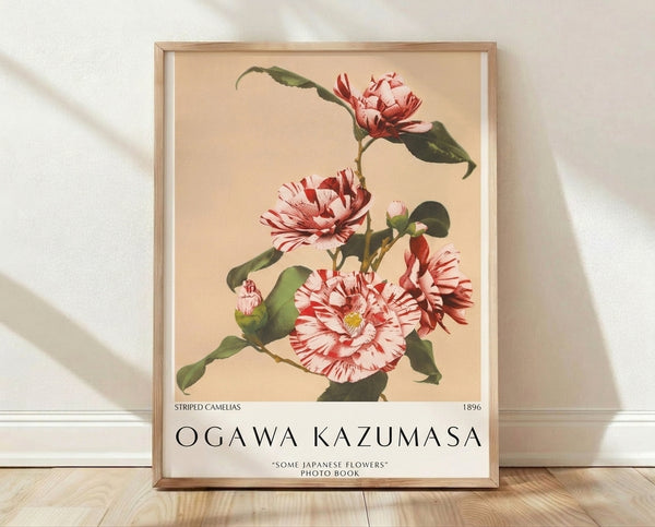 Framed vintage botanical art print featuring striped camelias with deep red and rose pink petals, pale yellow stamens, and sage green leaves on a cream background in Japandi style.