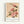 Elegant Japanese-inspired poster displaying delicate striped camelias with refined botanical illustration in cream, pink, red, and green tones, mounted on a wall.