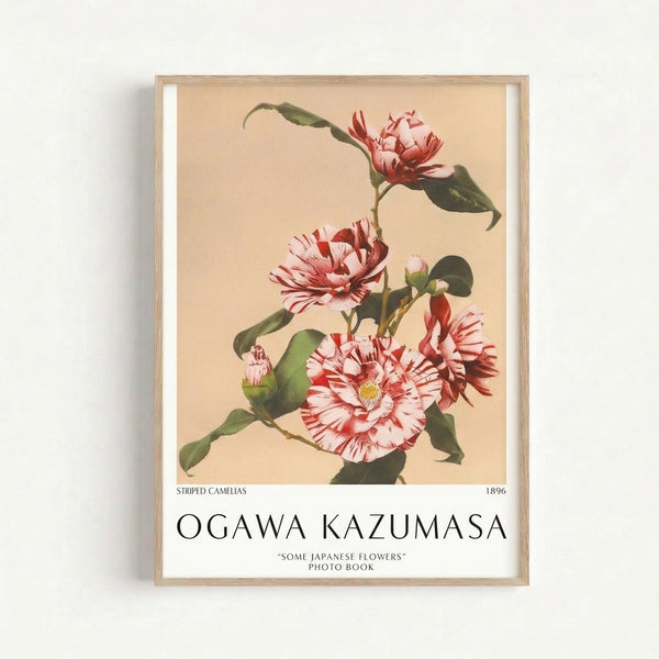 Elegant Japanese-inspired poster displaying delicate striped camelias with refined botanical illustration in cream, pink, red, and green tones, mounted on a wall.