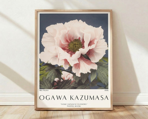 Framed botanical art print featuring a delicate tree peony with pale pink and deep red petals, sage green leaves, and slate blue accents in soft impressionist style on cream background.