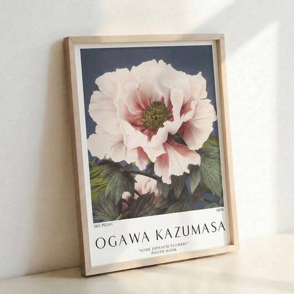 Serene botanical study of a tree peony rendered in soft impressionist technique, pale pink petals with deep red undertones, sage and slate-colored leaves on creamy ground.