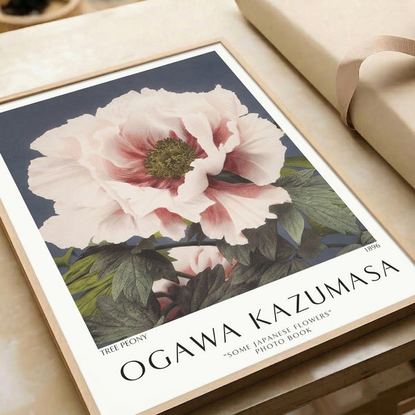 Refined botanical art print of a tree peony in impressionist style, showcasing cream and pale pink petals with dramatic deep red accents, surrounded by understated sage and slate foliage.