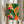 Japandi-style botanical poster with hand-carved linocut aesthetic depicting joyful tropical fruits and flowering plants in organic forest green and warm coral tones.