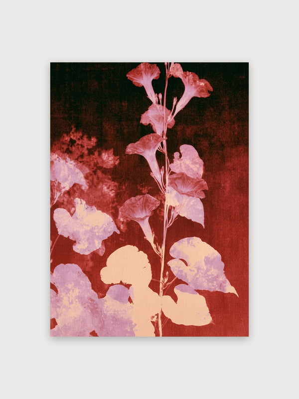 Vintage Botanical Trumpet Flowers - Digital Download