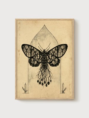 Gothic Moth Cathedral Window Print poster in oak frame